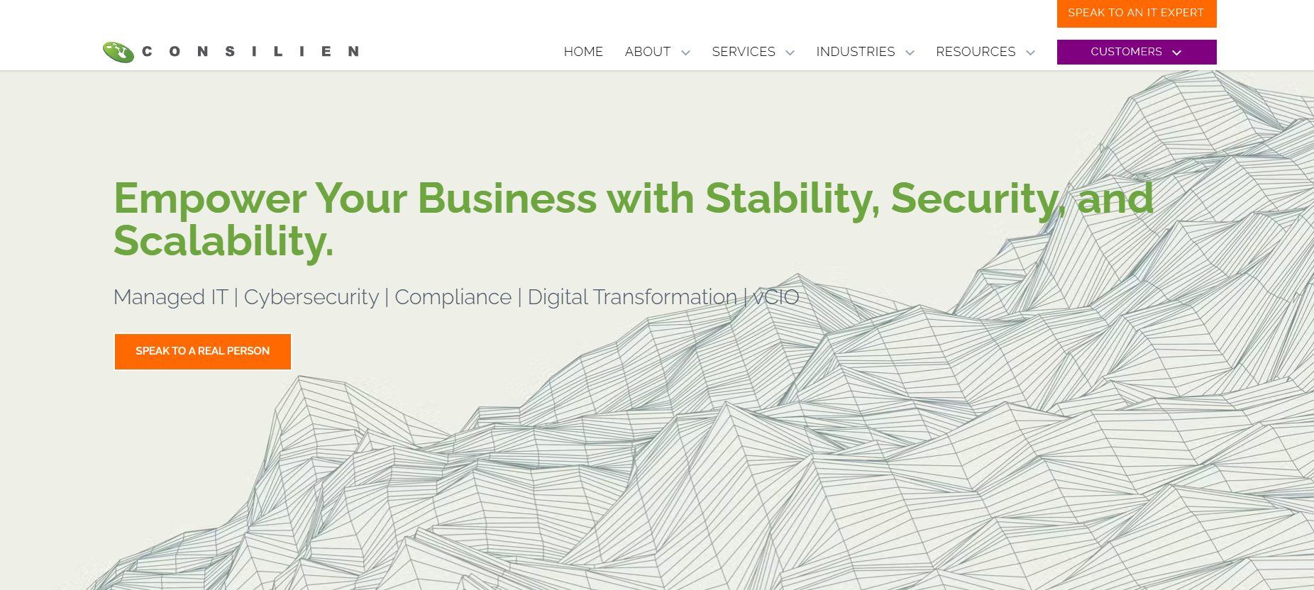 Consilien managed IT services Los Angeles &mdash; homepage