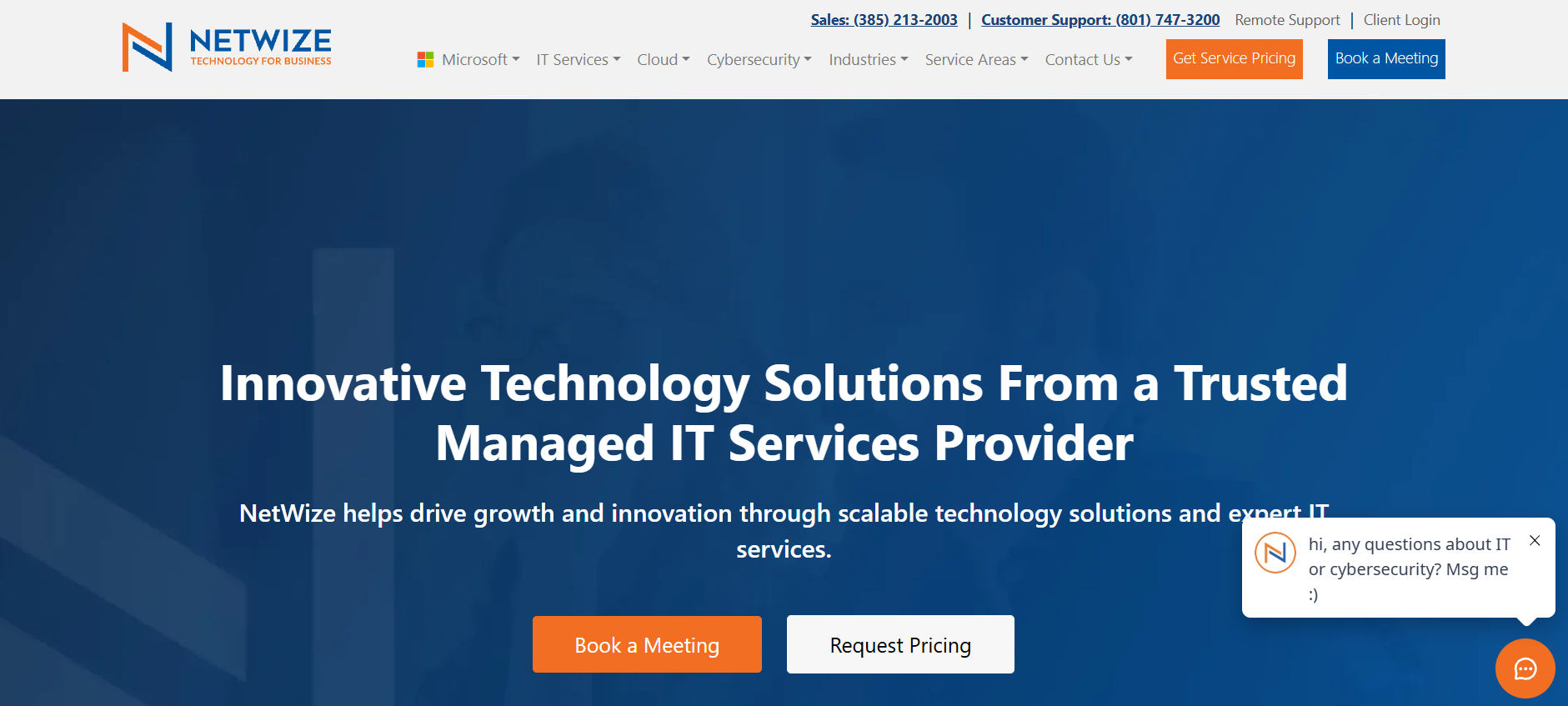 NetWize managed IT services Salt Lake City Murray UT homepage