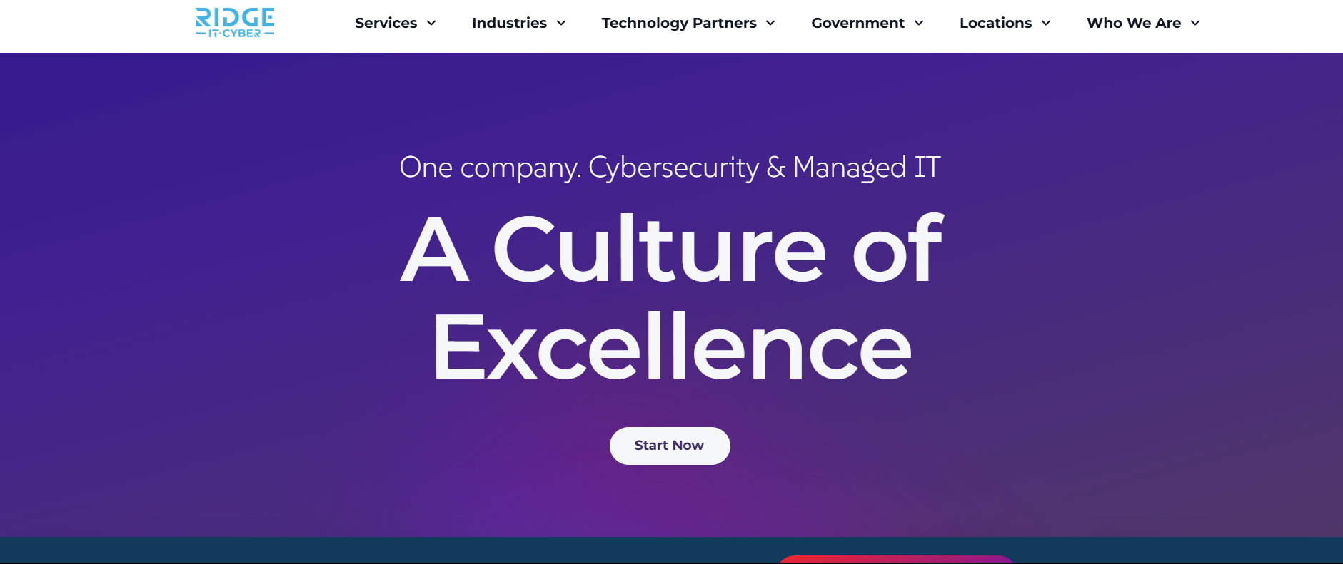 Ridge IT Cyber MSSP Tampa Florida government defense cybersecurity homepage