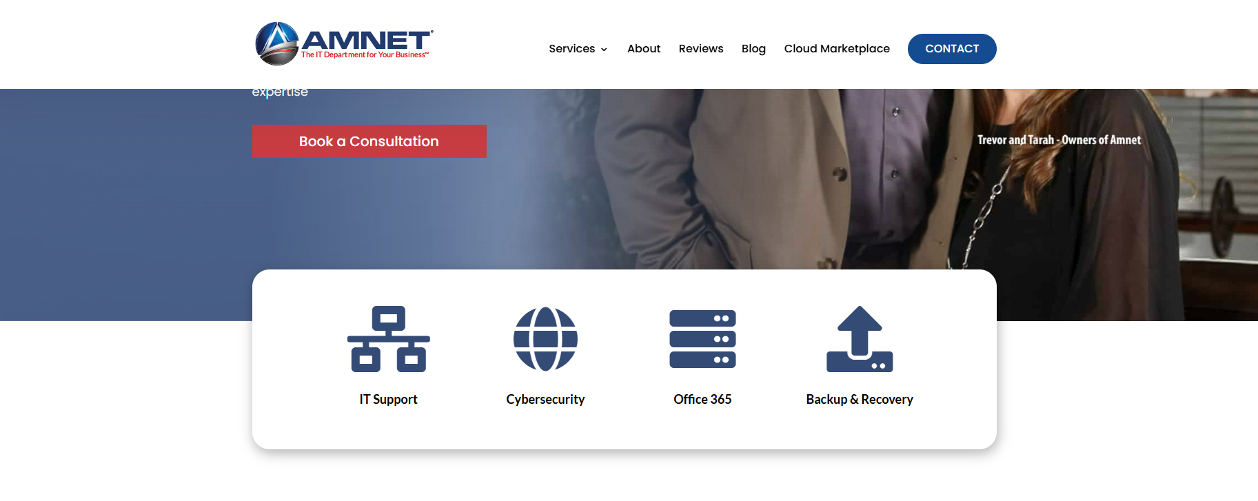 Amnet managed IT services Colorado Springs — homepage