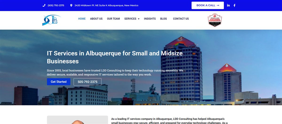 LDD Consulting IT services Albuquerque NM homepage