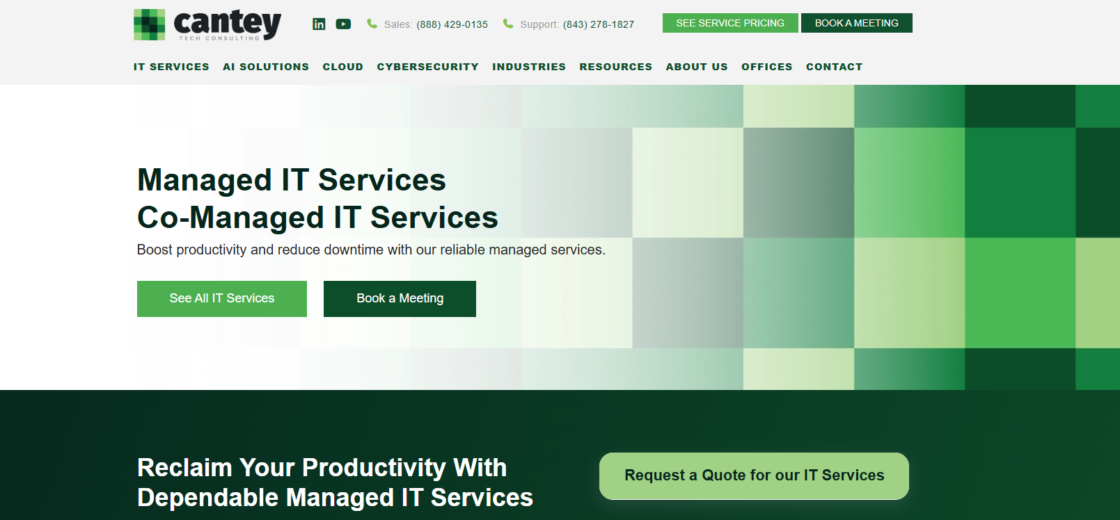 Cantey Tech Consulting Columbia SC managed services homepage