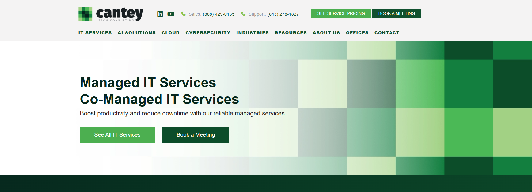 Cantey Tech Consulting managed IT services in Greenville SC — homepage