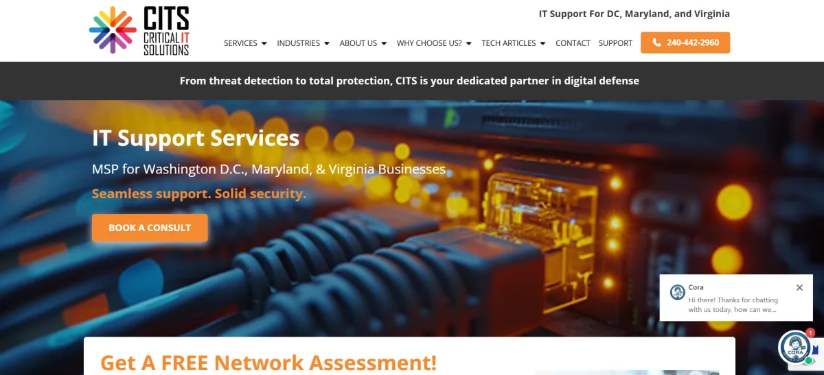 Critical IT Solutions managed IT law firms DC homepage