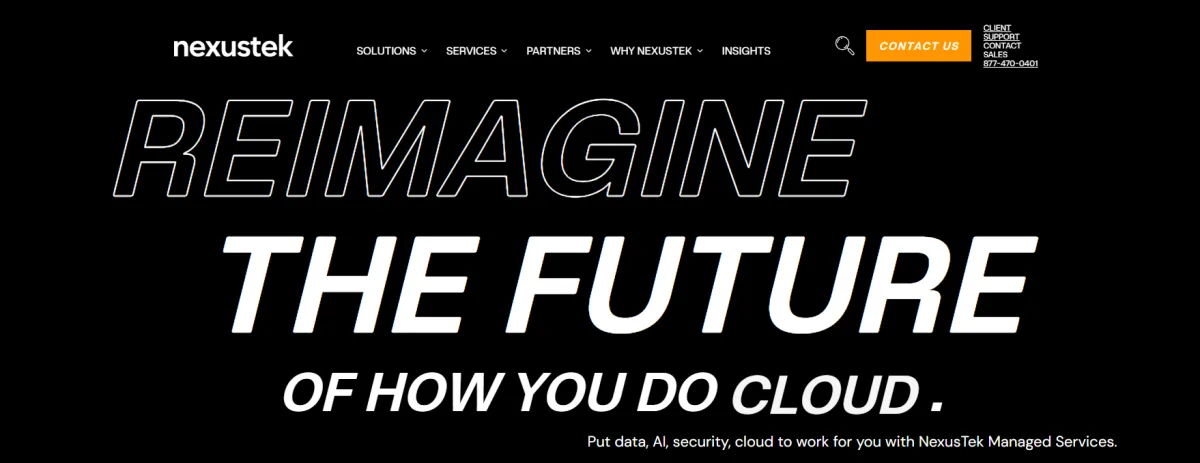 NexusTek managed IT services Denver - homepage