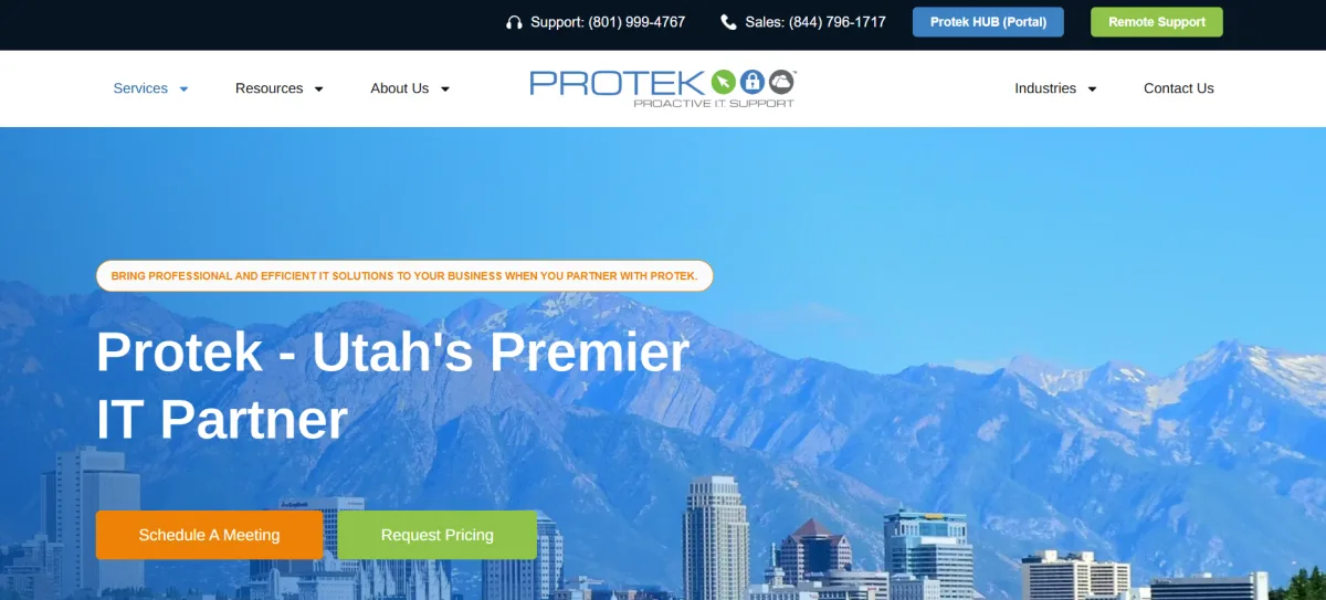 Protek Support healthcare IT Sandy Utah homepage screenshot