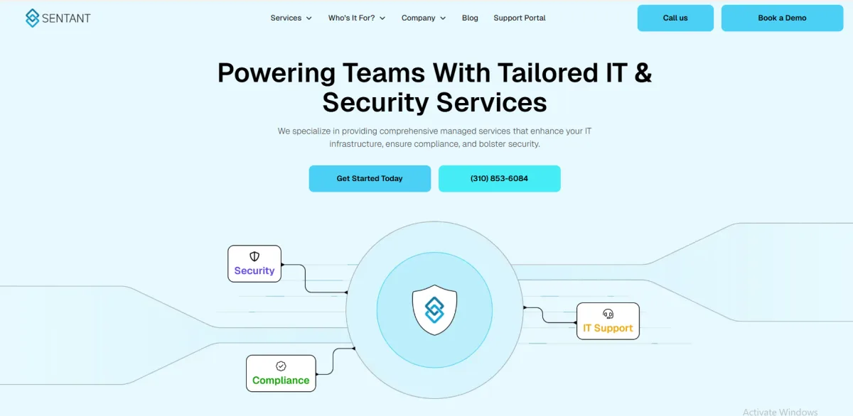 Sentant startup IT and VC readiness San Francisco homepage
