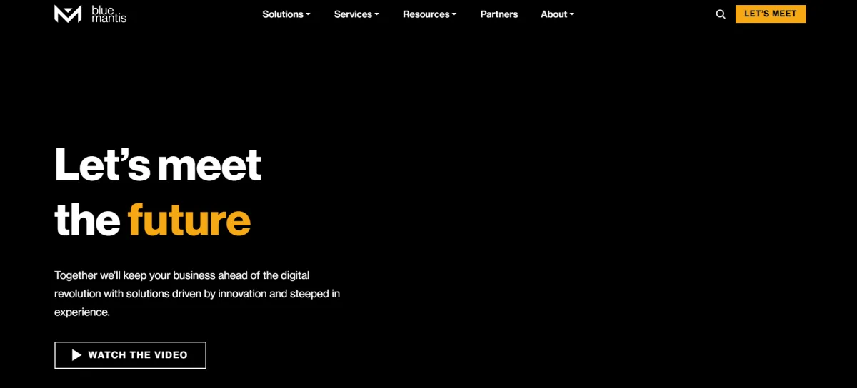 Blue Mantis let's meet the future homepage, enterprise-scale PE-backed MSP based in Portsmouth NH serving New England
