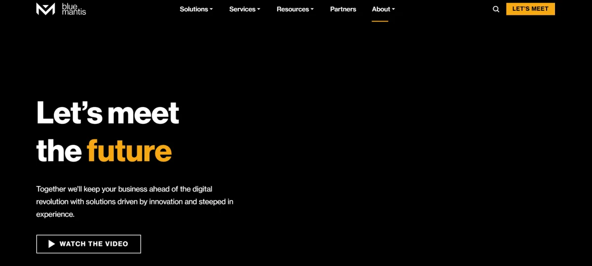 Blue Mantis IT services and multi-cloud solutions homepage, Portsmouth NH
