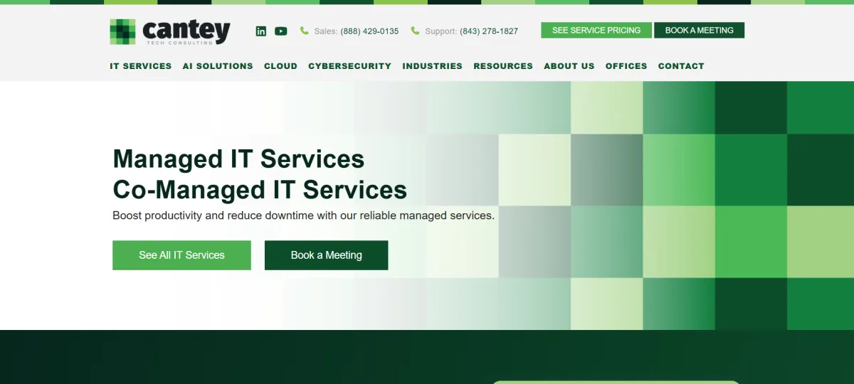 Cantey Tech Consulting CJIS compliant IT services Columbia SC homepage