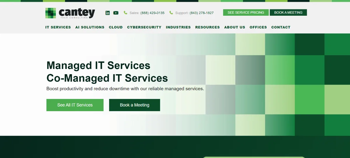 Cantey Tech Consulting HIPAA compliance IT services Columbia SC homepage