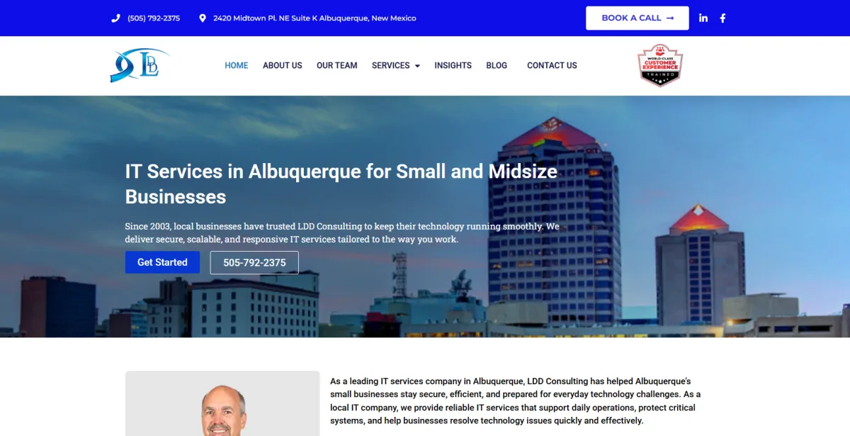 LDD Consulting healthcare IT Albuquerque homepage