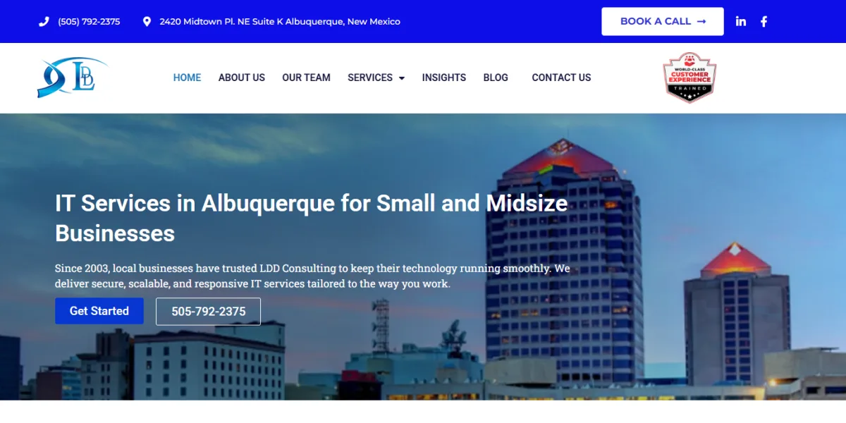 LDD Consulting IT services Albuquerque NM homepage