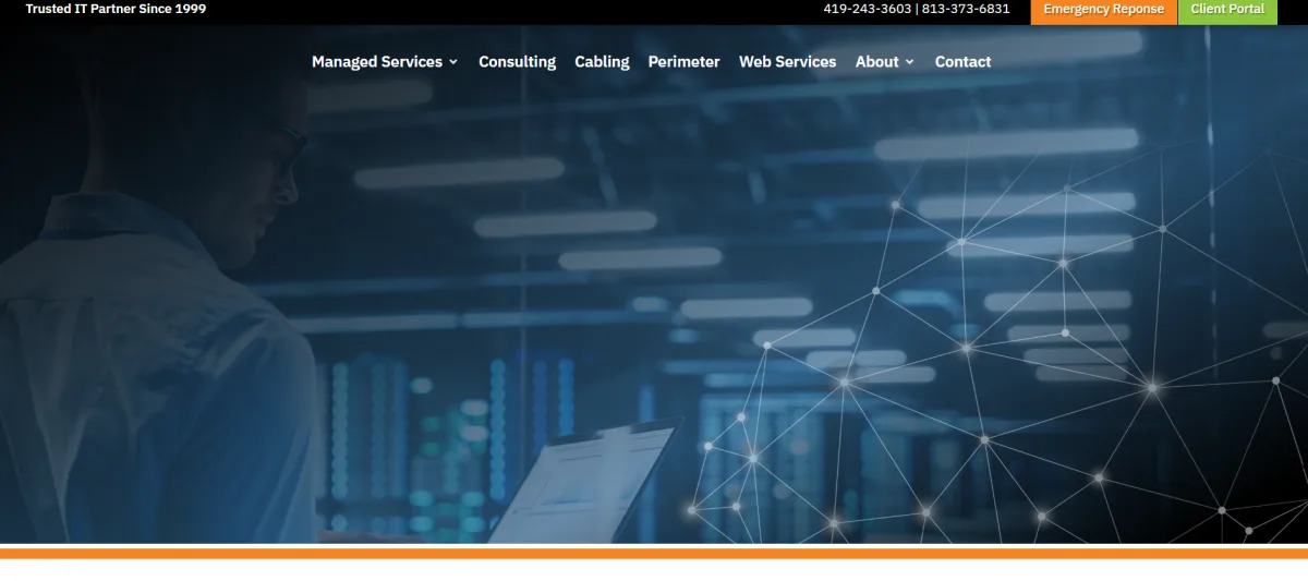 Nemsys LLC downtown Toledo managed IT services homepage