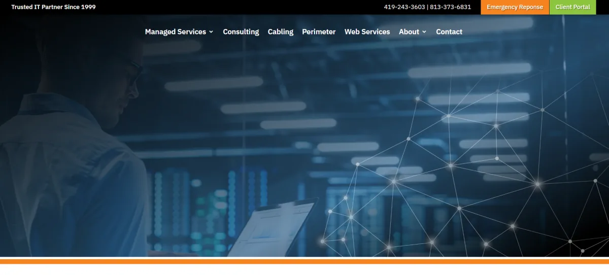 Nemsys LLC managed IT services Toledo Ohio homepage