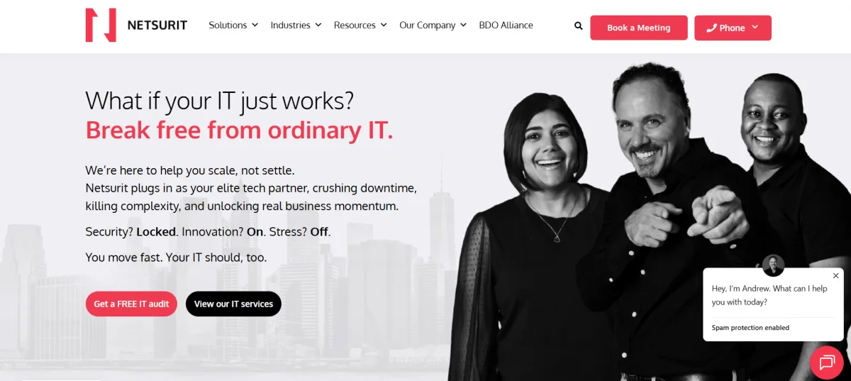 Netsurit Brunswick Maine manufacturing IT services homepage