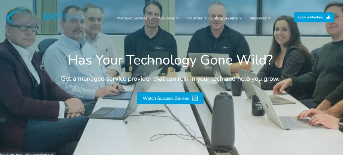 SkyTerra Technologies has your technology gone wild managed services homepage