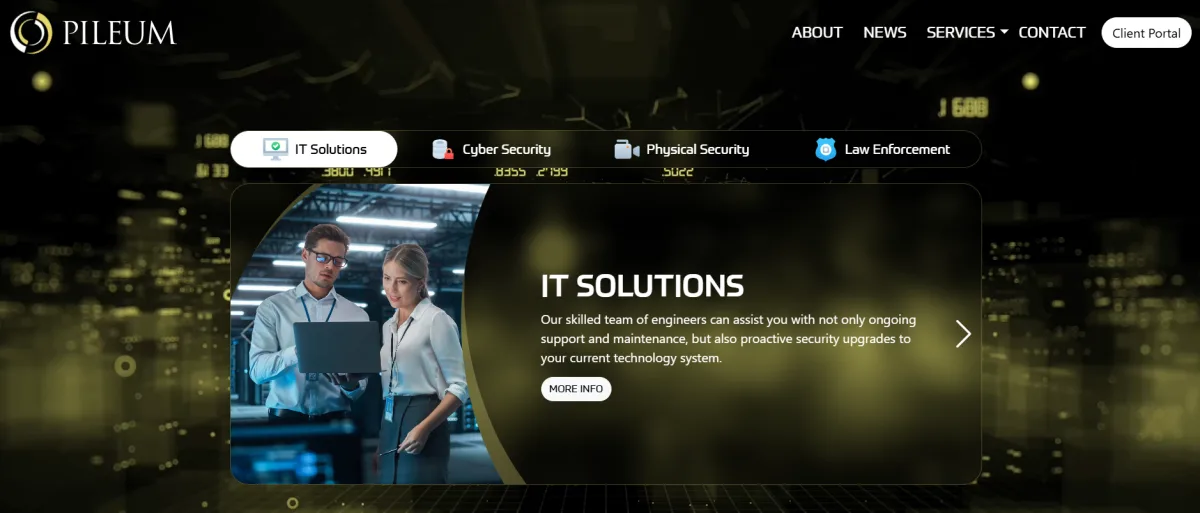 Pileum Corporation homepage &mdash; HIPAA compliance, IT and physical security provider in Jackson MS