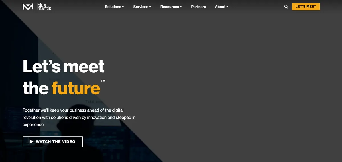 Blue Mantis managed IT services website homepage