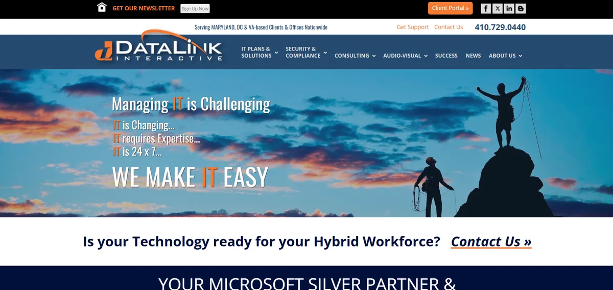 DataLink Interactive IT support Delaware homepage
