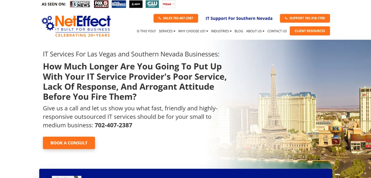 NetEffect managed IT services website homepage