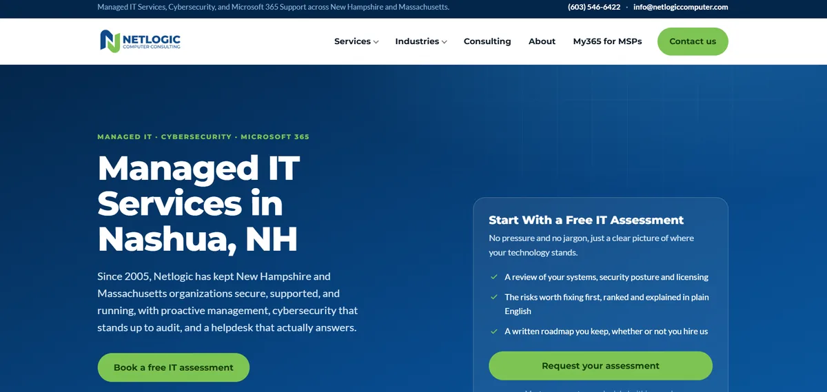 Netlogic Computer Consulting managed IT services website homepage
